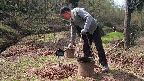 微信图片_20190404092541.jpg